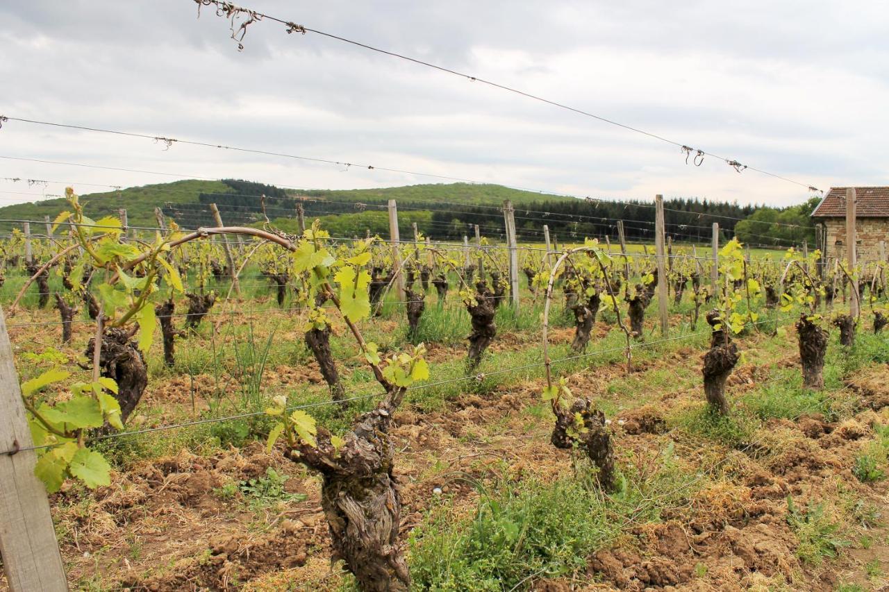 Domaine Joseph Lafarge Wine Resort Winemaker House La Maison Du Negociant Lugny Bagian luar foto