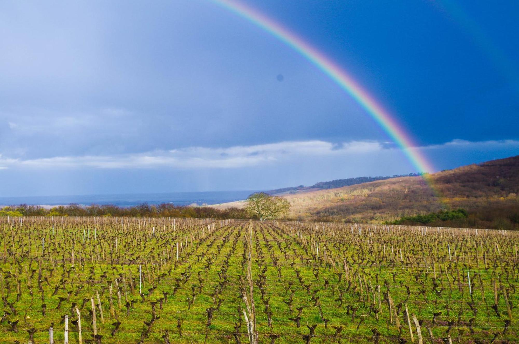 Domaine Joseph Lafarge Wine Resort Winemaker House La Maison Du Negociant Lugny Bagian luar foto